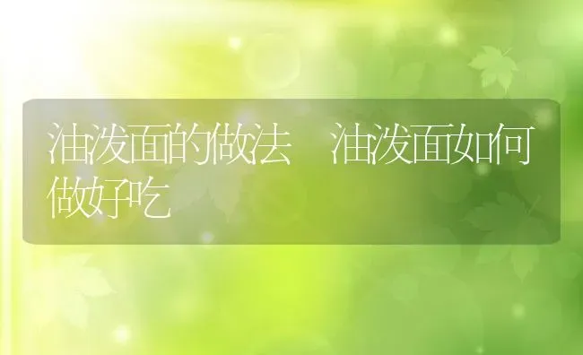 油泼面的做法 油泼面如何做好吃 | 养殖资讯