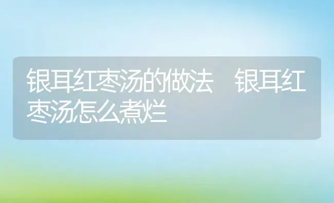 银耳红枣汤的做法 银耳红枣汤怎么煮烂 | 养殖资料投稿