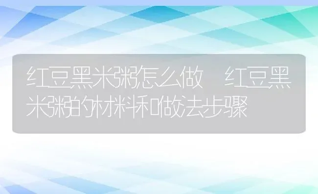 红豆黑米粥怎么做 红豆黑米粥的材料和做法步骤 | 养殖资讯