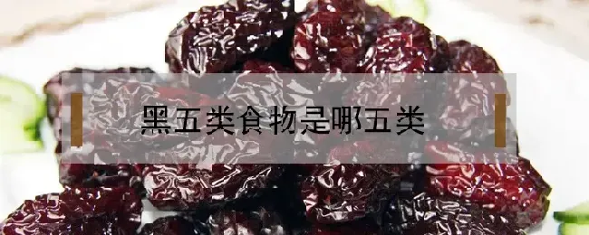 黑五类食物是哪五类