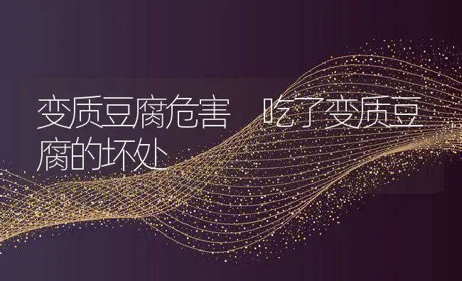 变质豆腐危害 吃了变质豆腐的坏处 | 养殖资料投稿