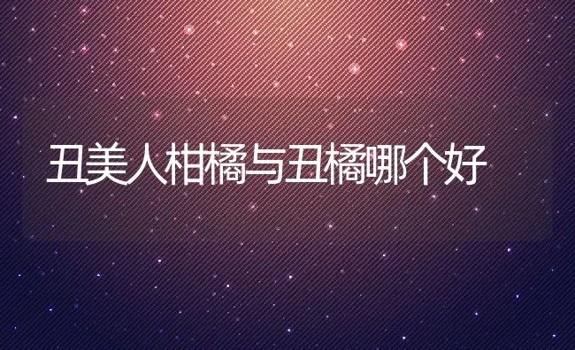 丑美人柑橘与丑橘哪个好 | 养殖资讯