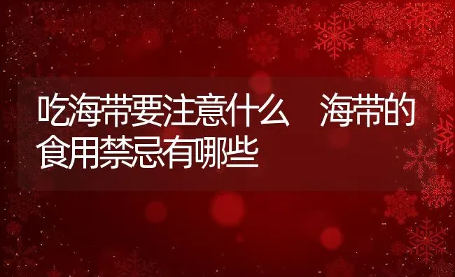 吃海带要注意什么 海带的食用禁忌有哪些 | 养殖资料投稿