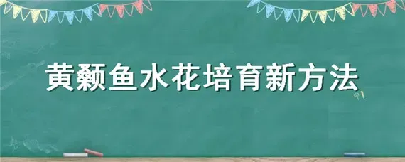 黄颡鱼水花培育新方法