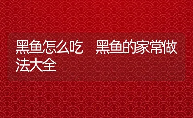 黑鱼怎么吃 黑鱼的家常做法大全 | 养殖资料投稿