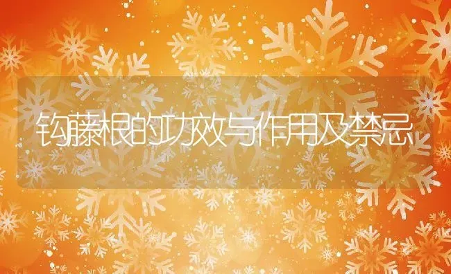 钩藤根的功效与作用及禁忌 | 养殖资料投稿