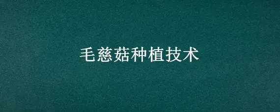 毛慈菇种植技术