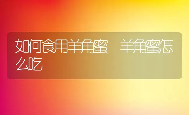 如何食用羊角蜜 羊角蜜怎么吃 | 养殖资料投稿