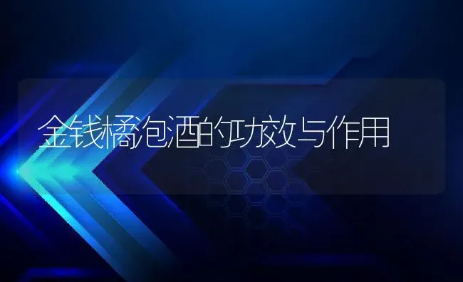 金钱橘泡酒的功效与作用 | 养殖资料投稿