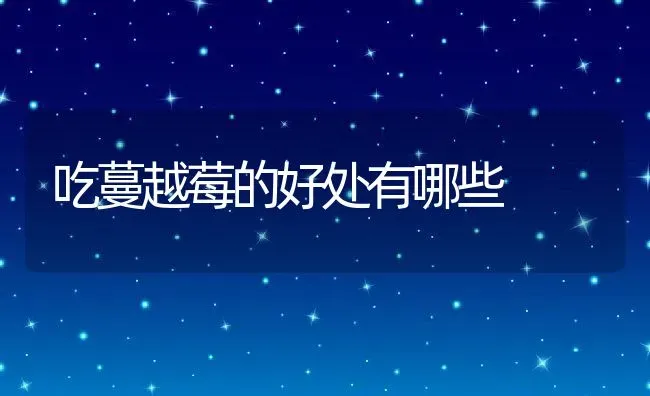 吃蔓越莓的好处有哪些 | 养殖资料投稿