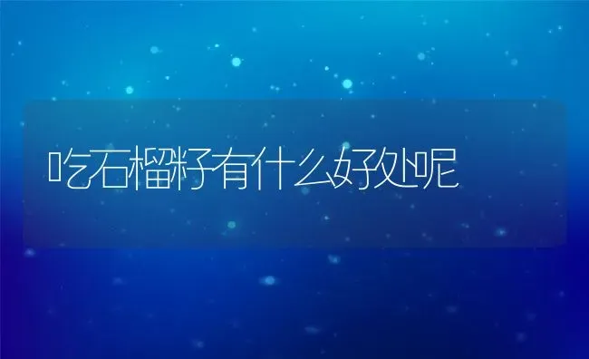 吃石榴籽有什么好处呢 | 养殖资料投稿