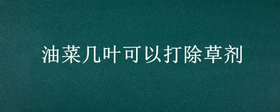 油菜几叶可以打除草剂