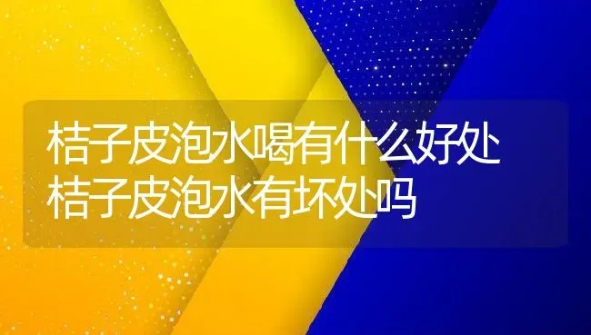 桔子皮泡水喝有什么好处 桔子皮泡水有坏处吗 | 养殖资料投稿