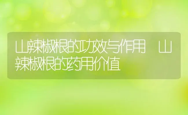 山辣椒根的功效与作用 山辣椒根的药用价值 | 养殖资料投稿