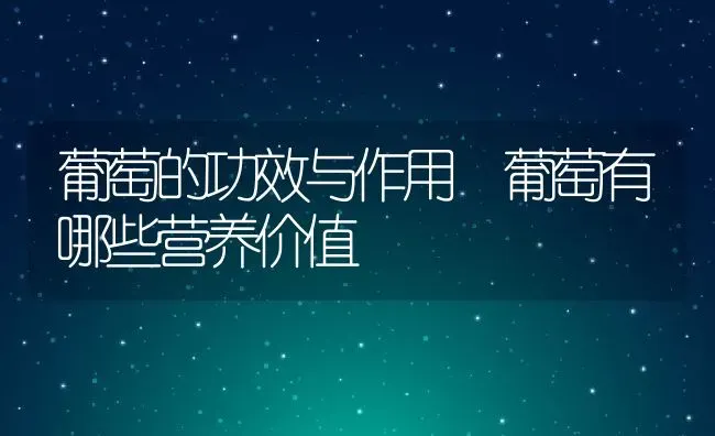 葡萄的功效与作用 葡萄有哪些营养价值 | 养殖资料投稿