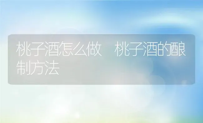 桃子酒怎么做 桃子酒的酿制方法 | 养殖资料投稿