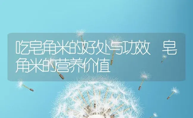 吃皂角米的好处与功效 皂角米的营养价值 | 养殖资料投稿