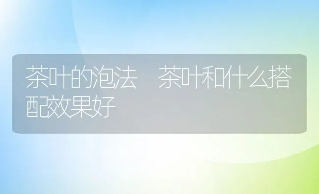 茶叶的泡法 茶叶和什么搭配效果好 | 养殖资料投稿