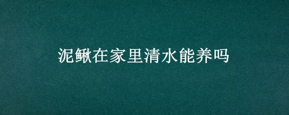 泥鳅在家里清水能养吗