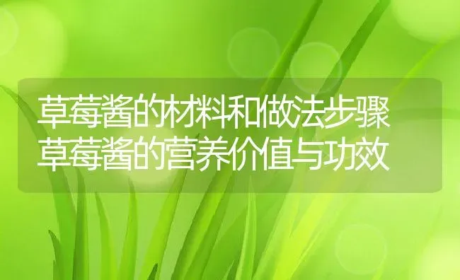 草莓酱的材料和做法步骤 草莓酱的营养价值与功效 | 养殖资料投稿