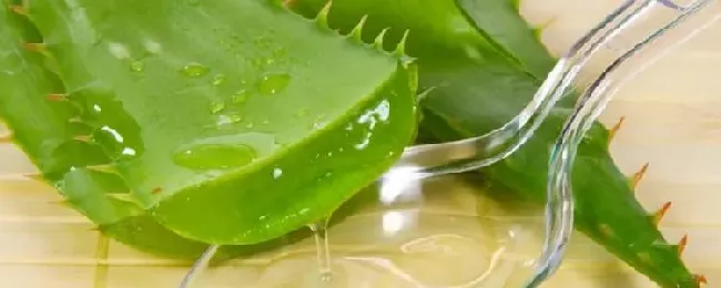 新鲜芦荟可不可以生吃？