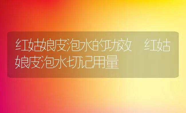 红姑娘皮泡水的功效 红姑娘皮泡水切记用量 | 养殖资料投稿