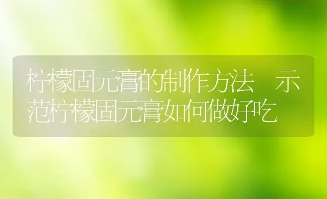 柠檬固元膏的制作方法 示范柠檬固元膏如何做好吃 | 养殖资料投稿