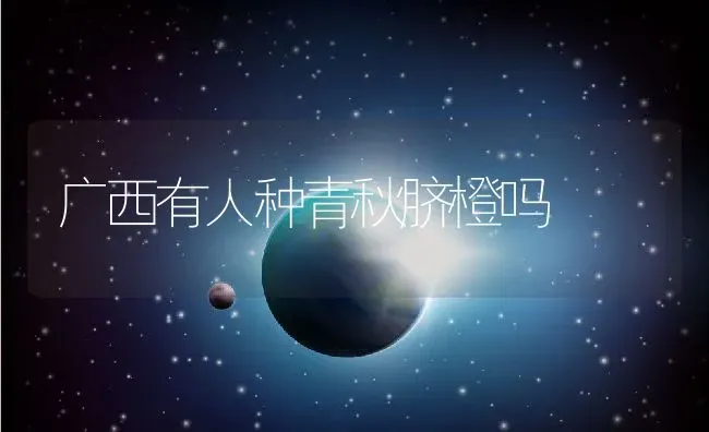 广西有人种青秋脐橙吗 | 养殖资讯