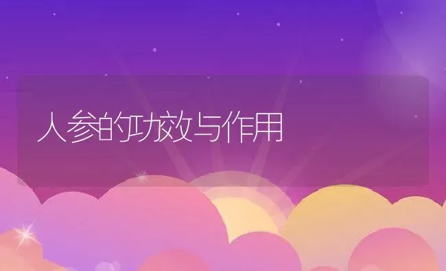 人参的功效与作用 | 养殖资料投稿