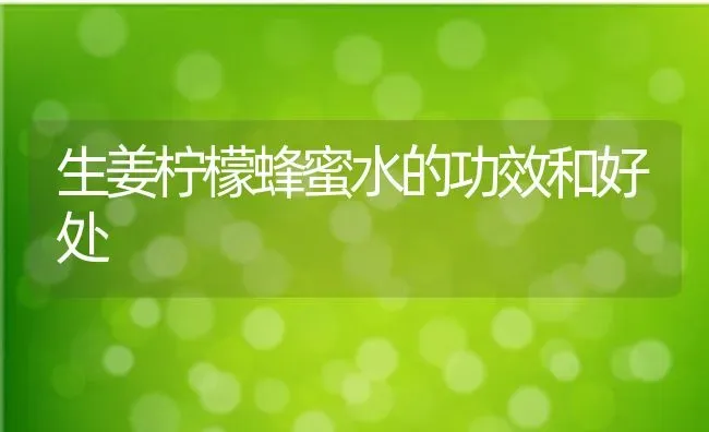 生姜柠檬蜂蜜水的功效和好处 | 养殖资料投稿