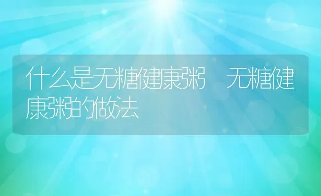 什么是无糖健康粥 无糖健康粥的做法 | 养殖资讯