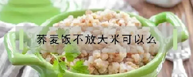 荞麦饭不放大米可以么