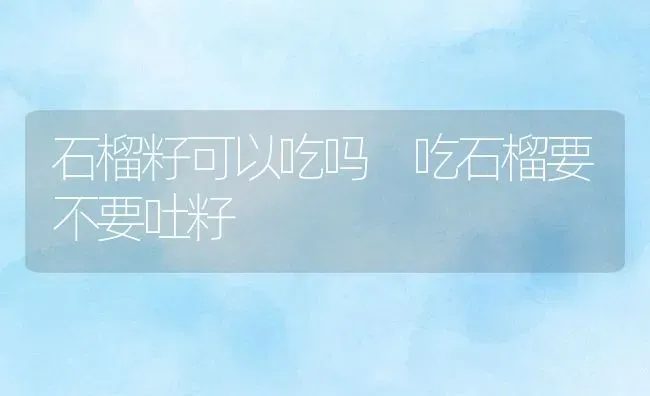 石榴籽可以吃吗 吃石榴要不要吐籽 | 养殖资料投稿