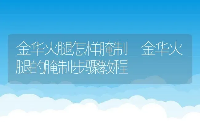 金华火腿怎样腌制 金华火腿的腌制步骤教程 | 养殖资料投稿