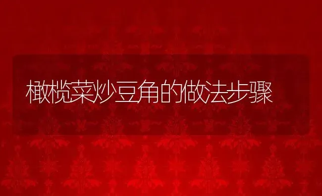 橄榄菜炒豆角的做法步骤 | 养殖资讯