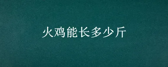 火鸡能长多少斤