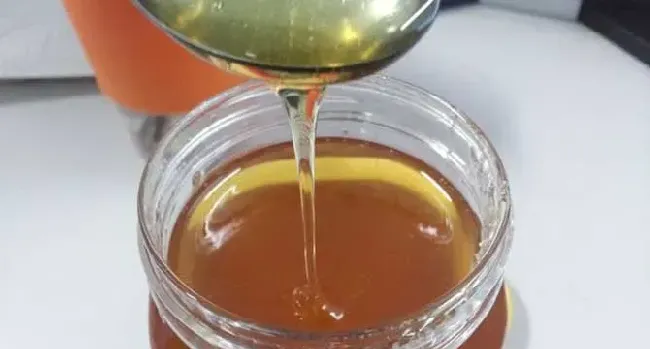龙眼蜜有什么功效与作用