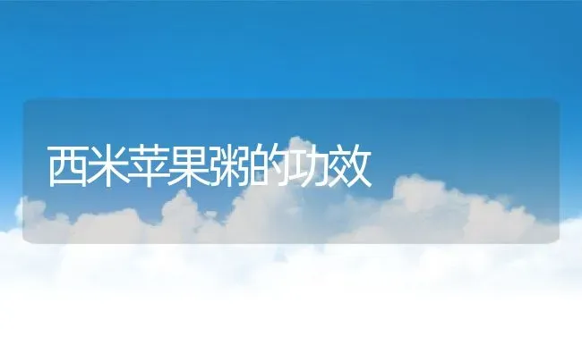 西米苹果粥的功效 | 养殖资讯