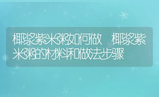 椰浆紫米粥如何做 椰浆紫米粥的材料和做法步骤 | 养殖资讯