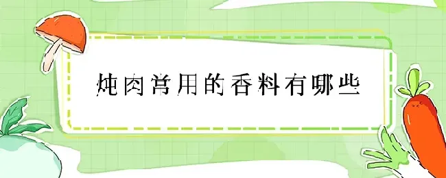 炖肉常用的香料有哪些