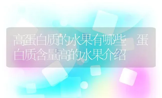 高蛋白质的水果有哪些 蛋白质含量高的水果介绍 | 养殖资料投稿