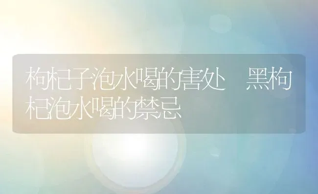 枸杞子泡水喝的害处 黑枸杞泡水喝的禁忌 | 养殖资料投稿