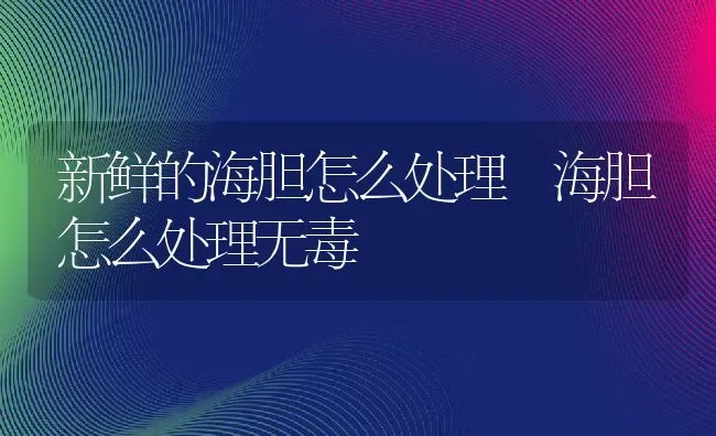 新鲜的海胆怎么处理 海胆怎么处理无毒 | 养殖资料投稿