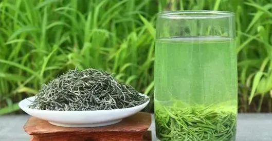 信阳毛尖的冲泡方法步骤