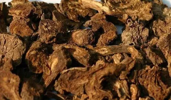 羌活对男性的功效与作用