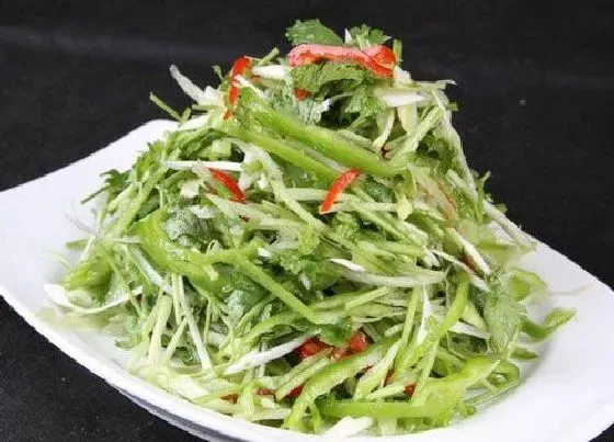 蔬菜|老虎菜是什么菜