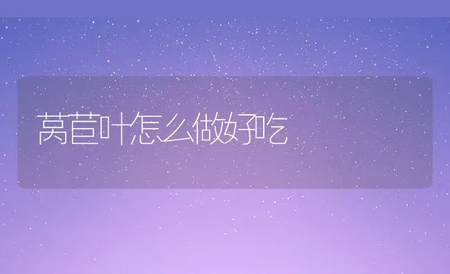 胡萝卜的营养价值有哪些 | 养殖资料投稿