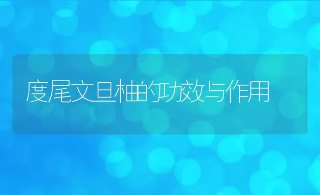 度尾文旦柚的功效与作用 | 养殖资料投稿