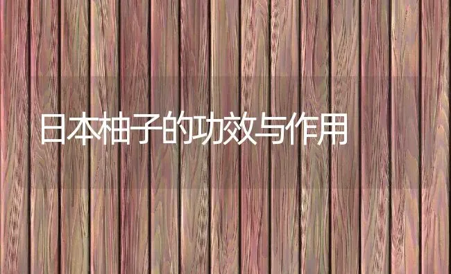 日本柚子的功效与作用 | 养殖资料投稿