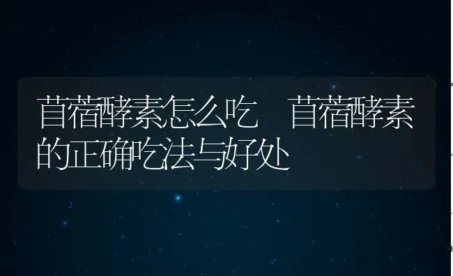 苜蓿酵素怎么吃 苜蓿酵素的正确吃法与好处 | 养殖资料投稿